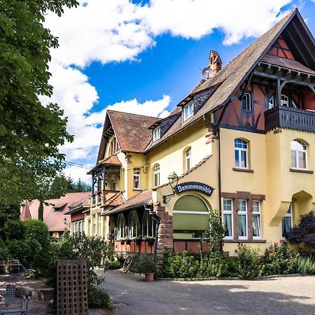 Hotel Dammenmuehle ลาร์ ภายนอก รูปภาพ