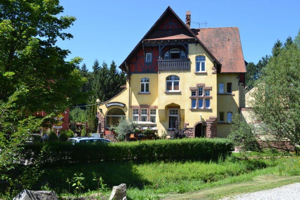 Hotel Dammenmuehle ลาร์ ภายนอก รูปภาพ